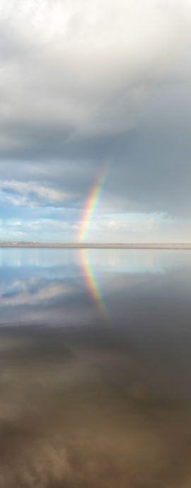 Seascapes